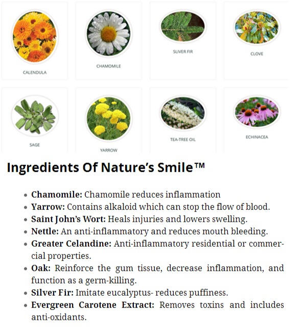 Natures Smile Ingredients